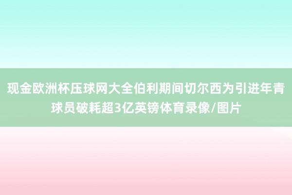 现金欧洲杯压球网大全伯利期间切尔西为引进年青球员破耗超3亿英镑体育录像/图片