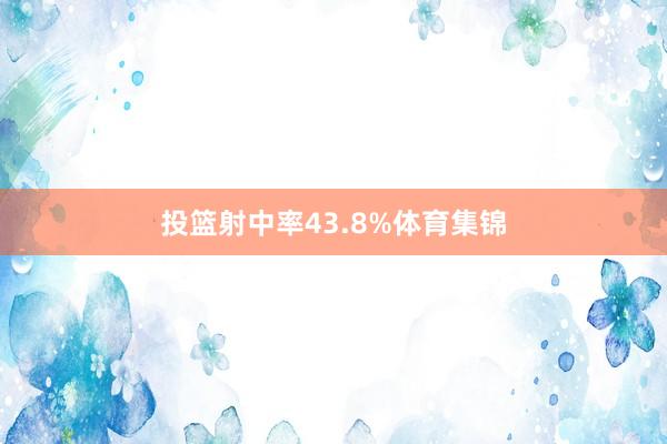 投篮射中率43.8%体育集锦