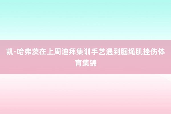 凯-哈弗茨在上周迪拜集训手艺遇到腘绳肌挫伤体育集锦
