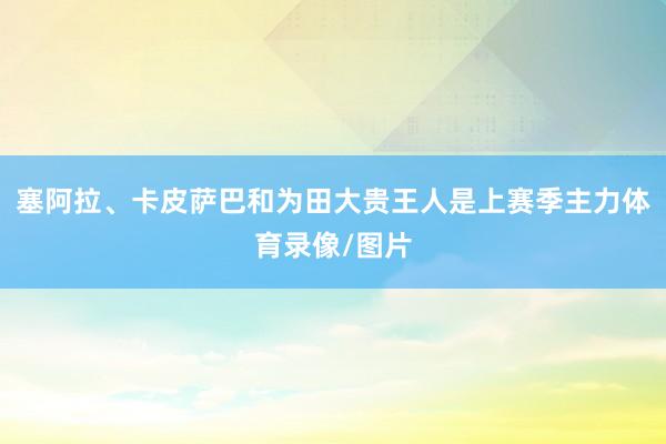 塞阿拉、卡皮萨巴和为田大贵王人是上赛季主力体育录像/图片