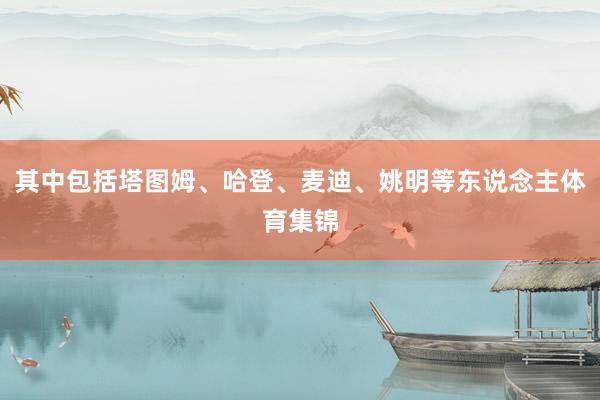 其中包括塔图姆、哈登、麦迪、姚明等东说念主体育集锦