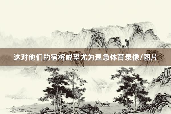 这对他们的宿将威望尤为遑急体育录像/图片