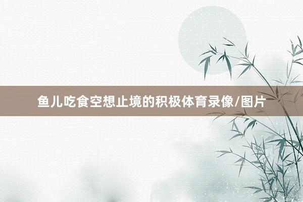 鱼儿吃食空想止境的积极体育录像/图片